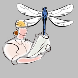 Dawn Anastasakis Design